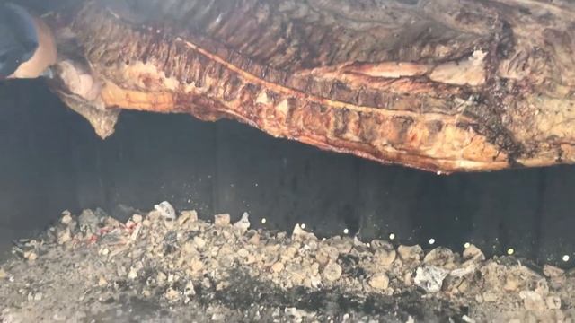 Корейка на вертеле! смотреть онлайн