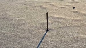 ПРУД. СВОЙ ПРУД. ИТОГИ СЕЗОНА 2020.АНАЛИЗ ВОДЫ В СВОЕМ ПРУДУ. Первый лед на своем пруду.