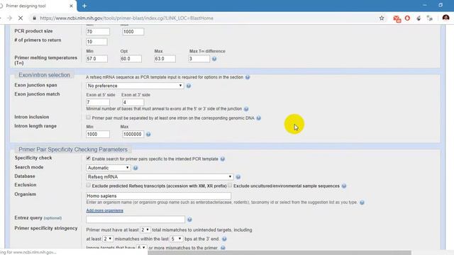 PCR Primer Designing Using NCBI Primer-BLAST