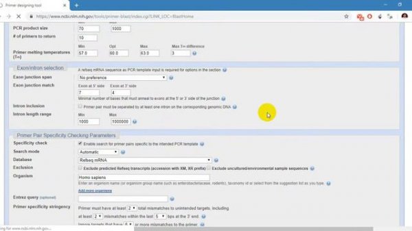 PCR Primer Designing using NCBI Primer-BLAST