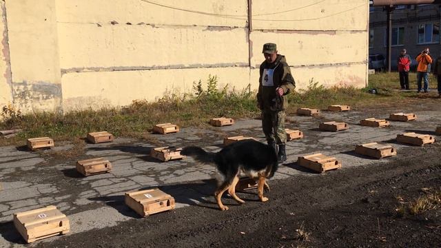 Этап №1  Поиск запрещённых веществ в багаже