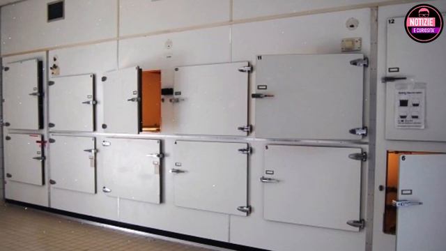 Donna MORTA E DIMENTICATA DA QUASI UN ANNO NELL’OBITORIO dell’ospedale di Cetraro смотреть онлайн