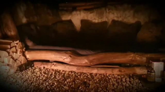 The Forest At NIGHT! смотреть онлайн