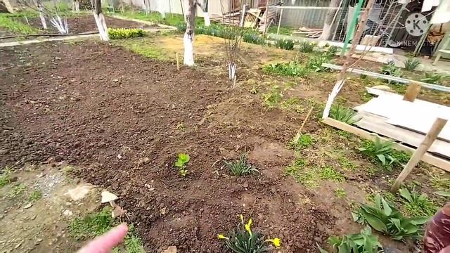 Купили дом на Юге/ремонт идёт к завершению смотреть онлайн