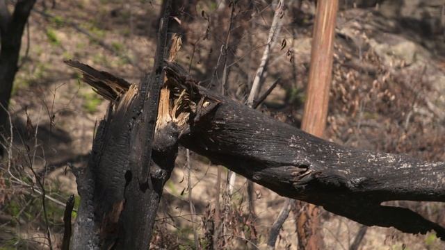 Keeping power tools charged off road with a Pure Sine Wave Inverter смотреть онлайн