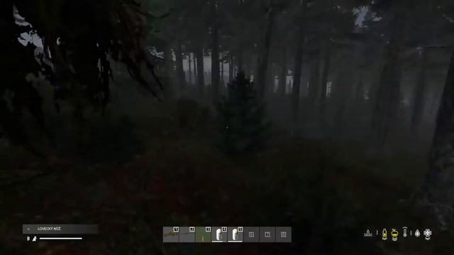 DayZ CZ/SK Berezinská 5ka смотреть онлайн
