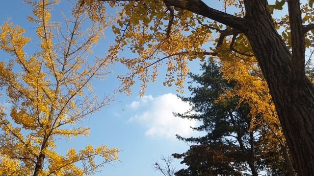 Canon R10 Cinematic Footage Camera Test // Canon R10 Camera Test смотреть онлайн
