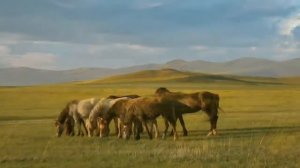 Маншуд Эмегеев - Великий сказитель - Улигершин....