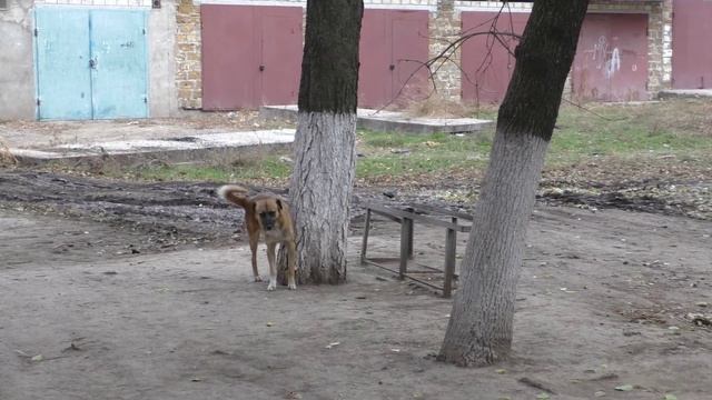 Цифровой зум 50х 1080p 50m смотреть онлайн