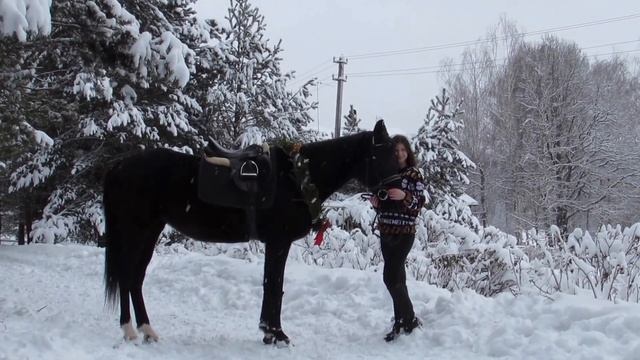 VLOG с конюшни от Poni_Soni Съемка с лошадьми, друзья, каникулы! смотреть онлайн