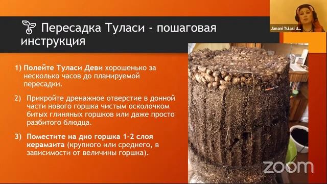 Пересадка Туласи (занятие 7) смотреть онлайн