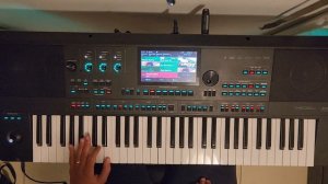 Eliran - Medeli AKX10 - Hotel California