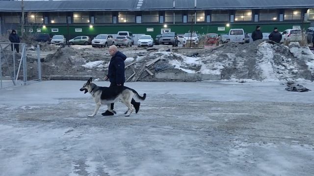 Моно ВЕО 22.01.2023 Буржуй ПРК смотреть онлайн