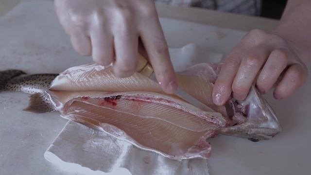 How to Fillet a Trout the Right Way смотреть онлайн