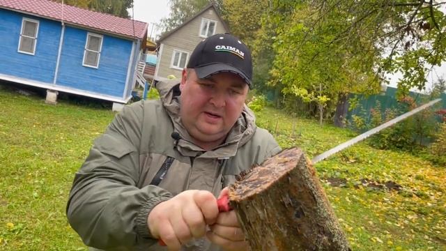 Как по маслу!!! Ножовка ручная Caiman 330мм СN-745 #распил #обрезкадеревьев #пилим#garden смотреть онлайн