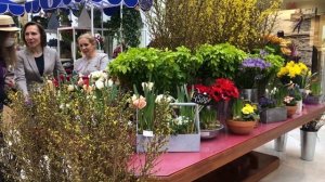 Петровский Пассаж!! Весна в Москве!!))