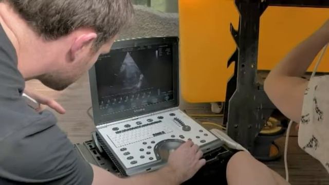 Python health test bit of a stretch смотреть онлайн