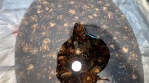 Столик из шишек и эпоксидной смолы.