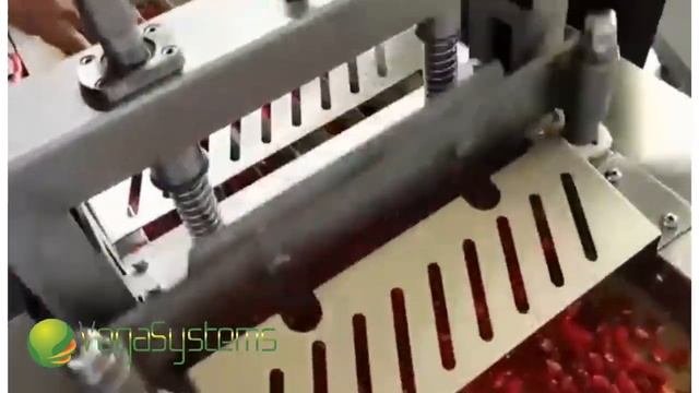 Нарезка халапеньо слайсом, Овощерезка Vega Gilo 300 смотреть онлайн