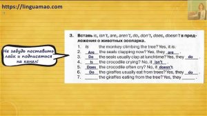 Spotlight 4 класс Сборник упражнений страница 64 номер 3 ГДЗ решебник