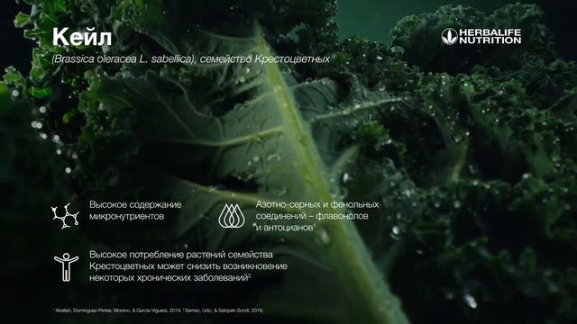 Кейл смотреть онлайн