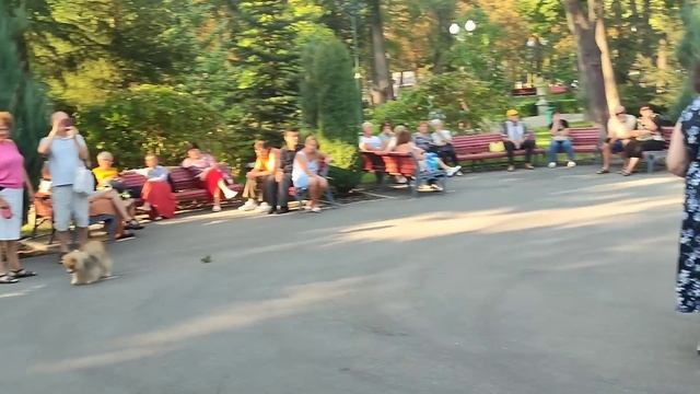 СЕЛЕН, СЕЛЕН! 27 АВГУСТА 2023 ТАНЦЫ ХАРЬКОВ УКРАИНА смотреть онлайн