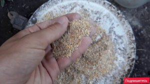 Чем и Как правильно кормить цыплят с первых дней жизни и до месяца!!!