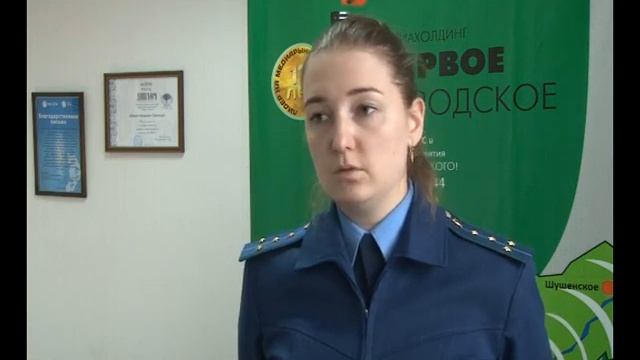 В Саяногорске девушка обокрала своего работодателя смотреть онлайн