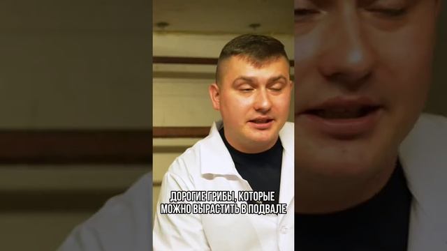 ДОРОГИЕ ГРИБЫ, КОТОРЫЕ МОЖНО ВЫРАСТИТЬ В ПОДВАЛЕ??? смотреть онлайн