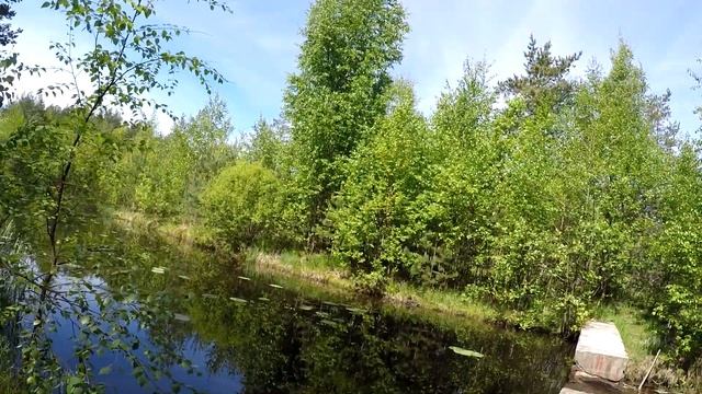 У истока реки Морье. Озеро Хепоярви. Всеволожский район смотреть онлайн