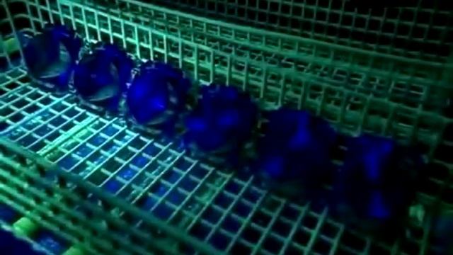 Как делают винты двигателей самолетов смотреть онлайн