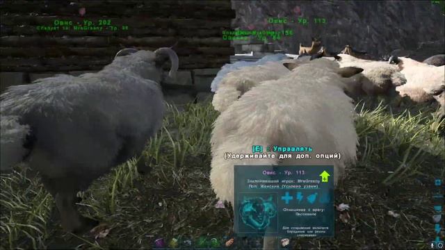 Можно ли фармить виверн на Аргентависе? На краполях в ARK Olympus #25 смотреть онлайн