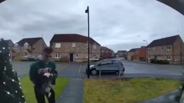 кот мяукает в камеру разными звуками смотреть онлайн