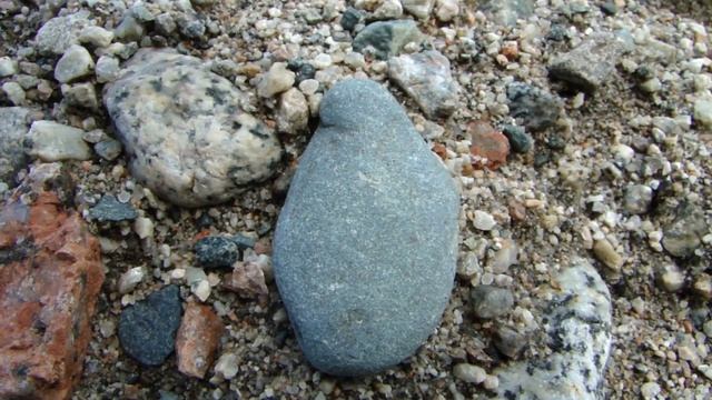 Йод показывает наличие платины и родия смотреть онлайн