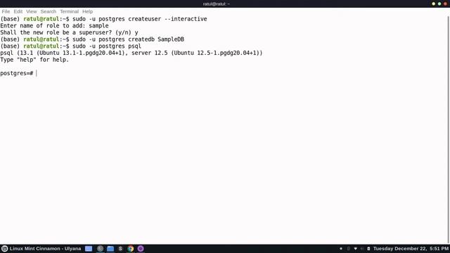 How to create new users, databases in PostgreSQL and access them in Ubuntu(20.04) смотреть онлайн