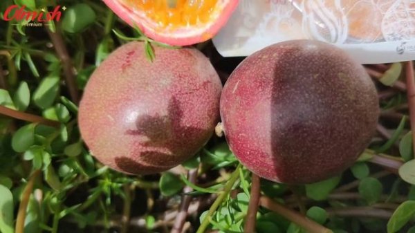 ?Маракуйя?Сушеная? Olmish Premium Plus?