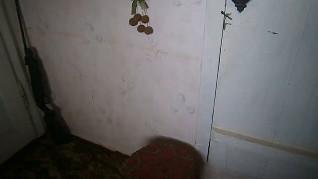 Выращивание мускусных утят смотреть онлайн