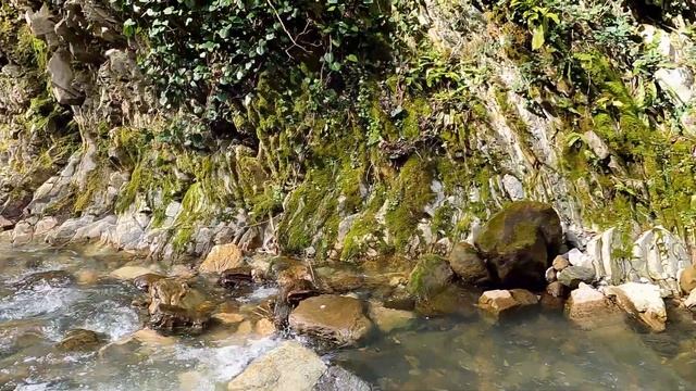 Как горный козел, а тут еще снег! Март 2022.?ЛАЗАРЕВСКОЕ СЕГОДНЯ?СОЧИ. смотреть онлайн