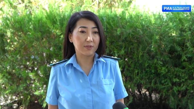 Житель Белгородской области обвиняется в даче взятки должностному лицу смотреть онлайн