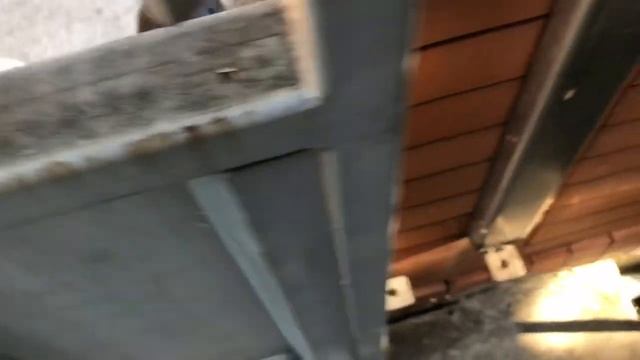 Разделение французских бульдогов и не французских бульдогов, во имя Мира !!! смотреть онлайн