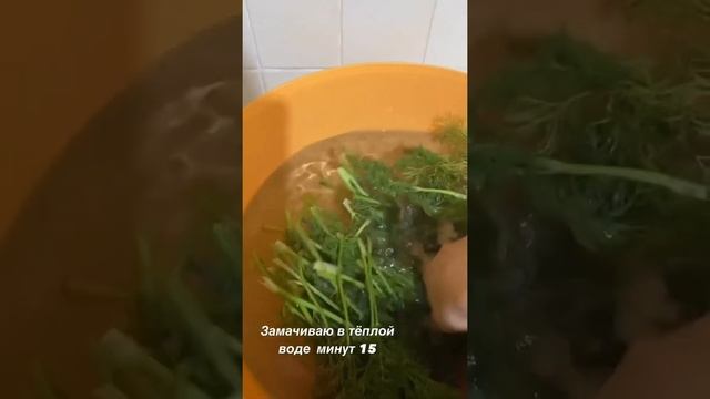 Как я мою зелень так что бы она оставалась долго  свежей ?