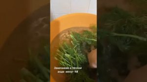Как я мою зелень так что бы она оставалась долго  свежей ?