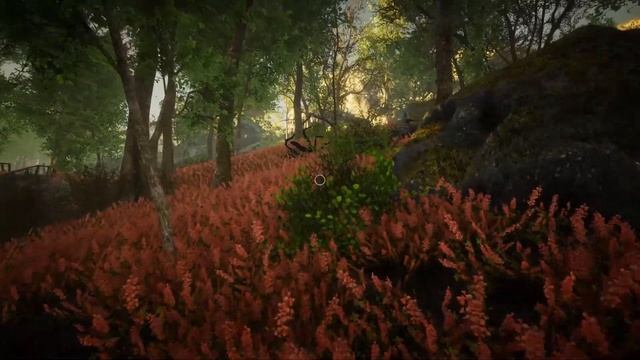 Eastshade 2019 Full Game Walkthrough No Commentary part 2 смотреть онлайн