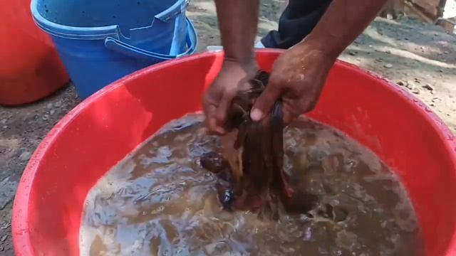 Homemade Water Filter | How To Make Local Water Filter | आसान तरीका से घर पर पानी फिल्टर बनाए смотреть онлайн