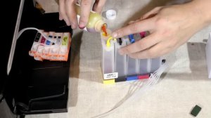 Установка СНПЧ в принтер MG5240/MG5140/MG6140/MG8140/IP4840/IX6540/MX884.