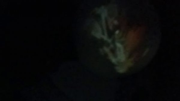 Distinct Motive - Blueberry