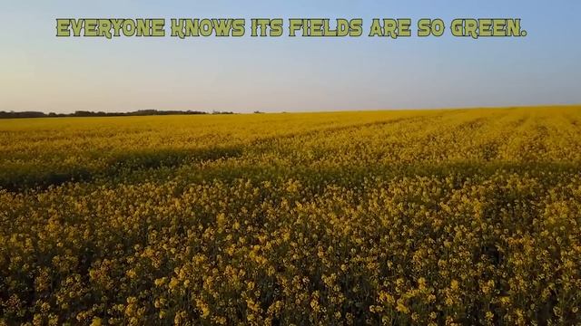 Unboxing Kansas: What It's Like Living in Kansas смотреть онлайн