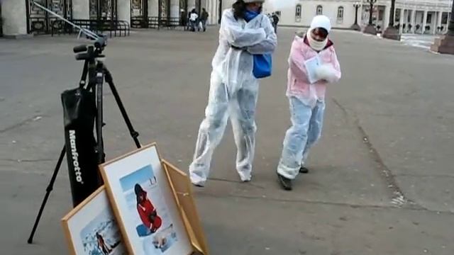 танец маленьких тюленей смотреть онлайн