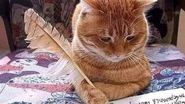 Часть1из6,,Письмо кота на деревню,бабушке'по стихотв.Мила Монго;музыка, исп А. Петриченко смотреть онлайн