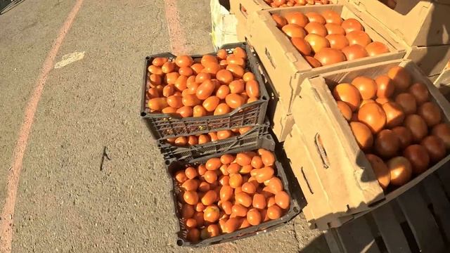 цены на продукты(овощи) в Оренбурге 10.08.2023 смотреть онлайн